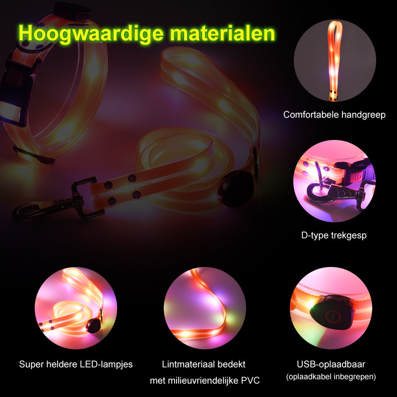 Lichtgevende LED hondenriem - By Lilo - close-up