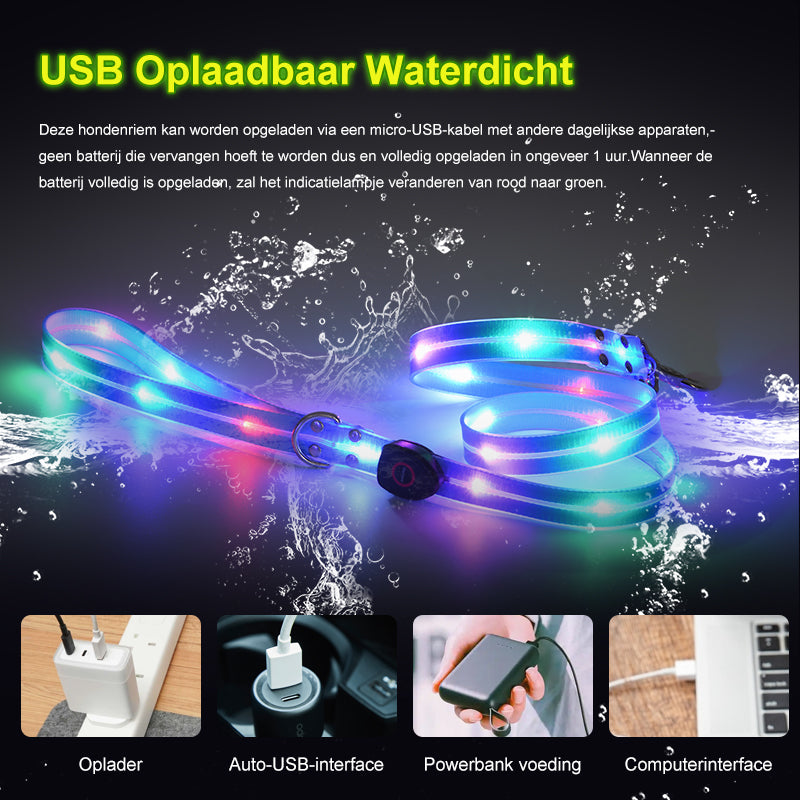 Lichtgevende LED hondenriem - By Lilo - detail