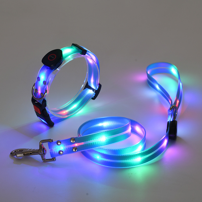 LED hondenriem en halsband combi set - By Lilo - close-up