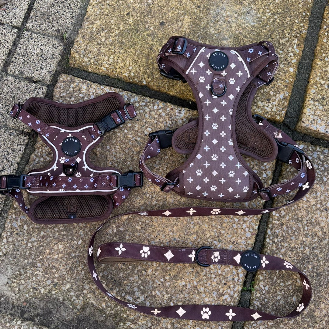 Bruine reflecterende hondenharnas met riem set - By Lilo - zijaanzicht