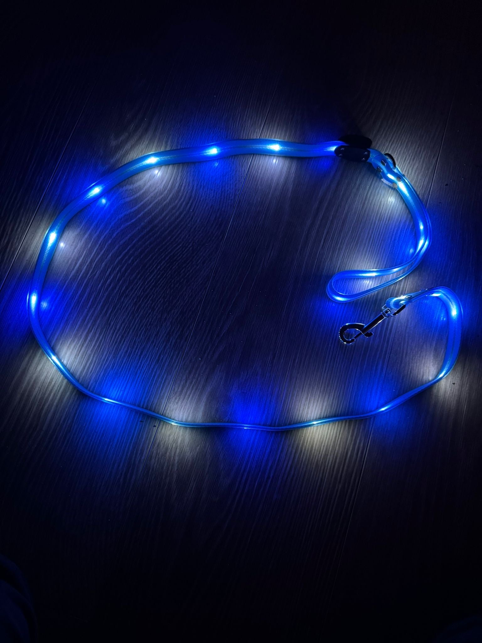 Lichtgevende LED hondenriem - By Lilo - close-up