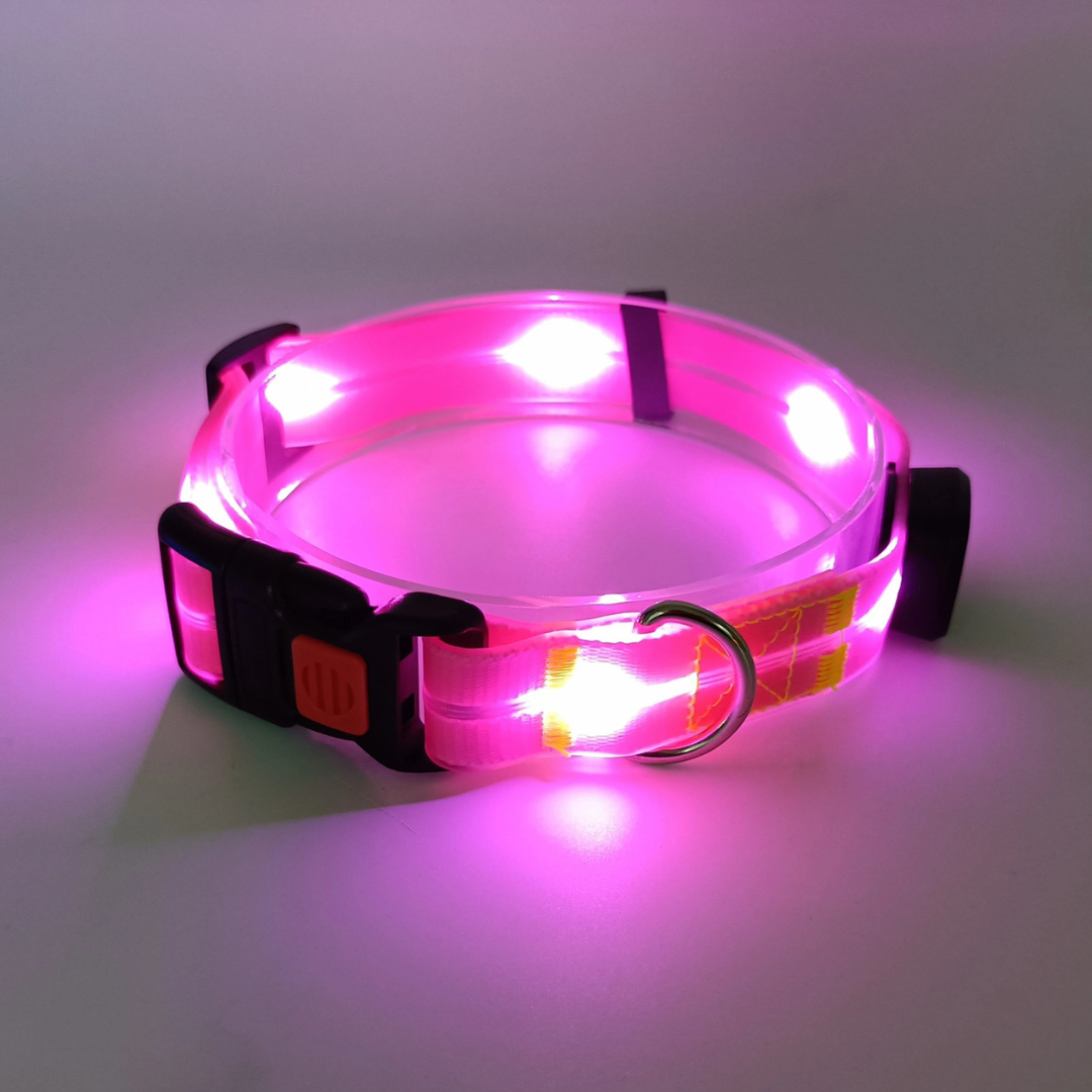 Lichtgevende LED hondenhalsband - By Lilo