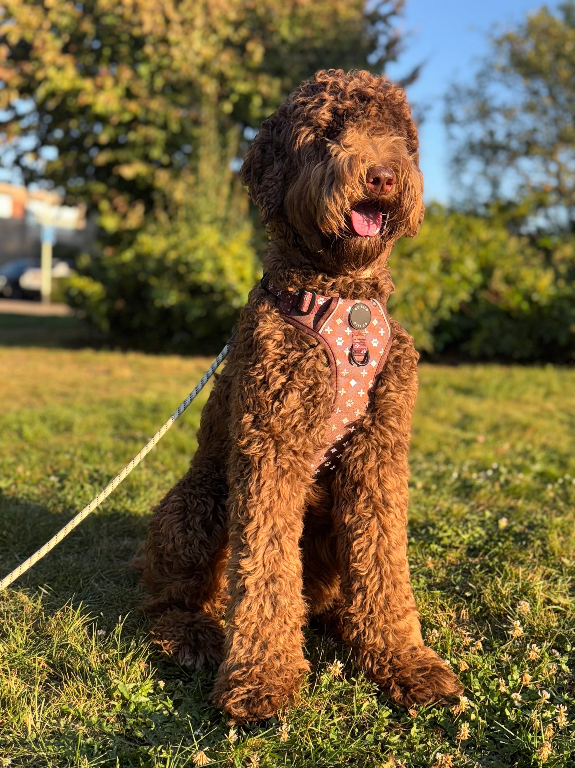 Bruin reflecterend anti-trek Y-tuig - By Lilo - close-up