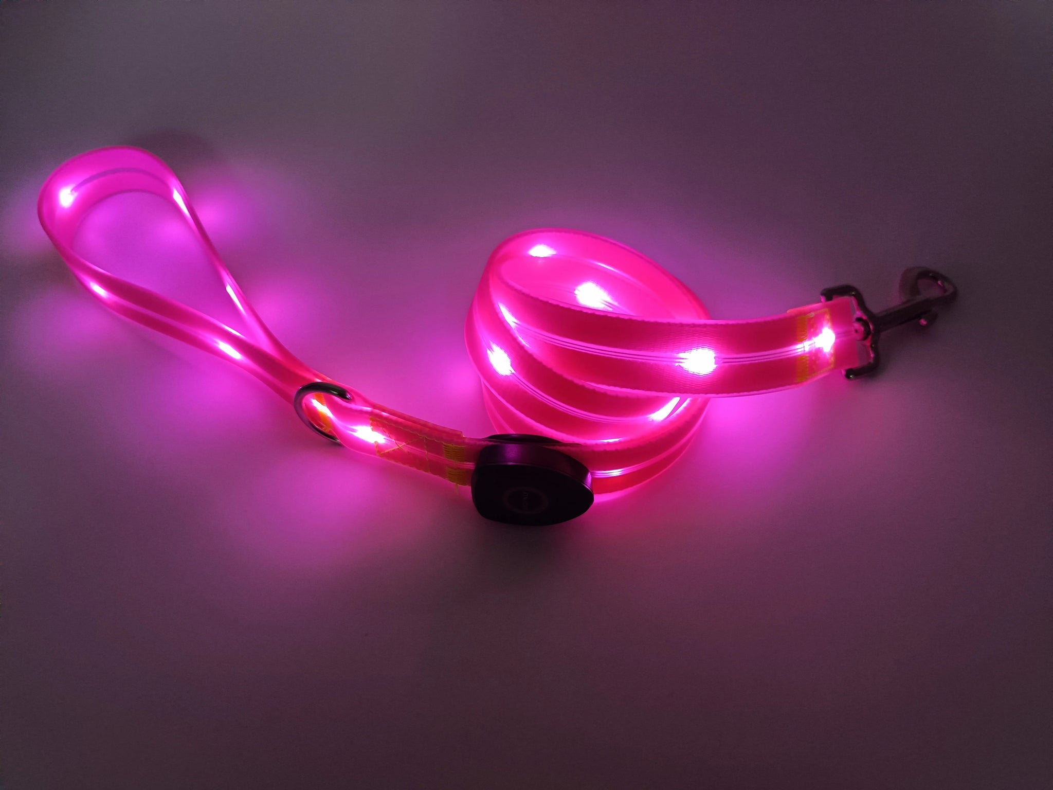 Lichtgevende LED hondenriem - By Lilo - in gebruik