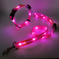LED hondenriem en halsband combi set - By Lilo - in gebruik