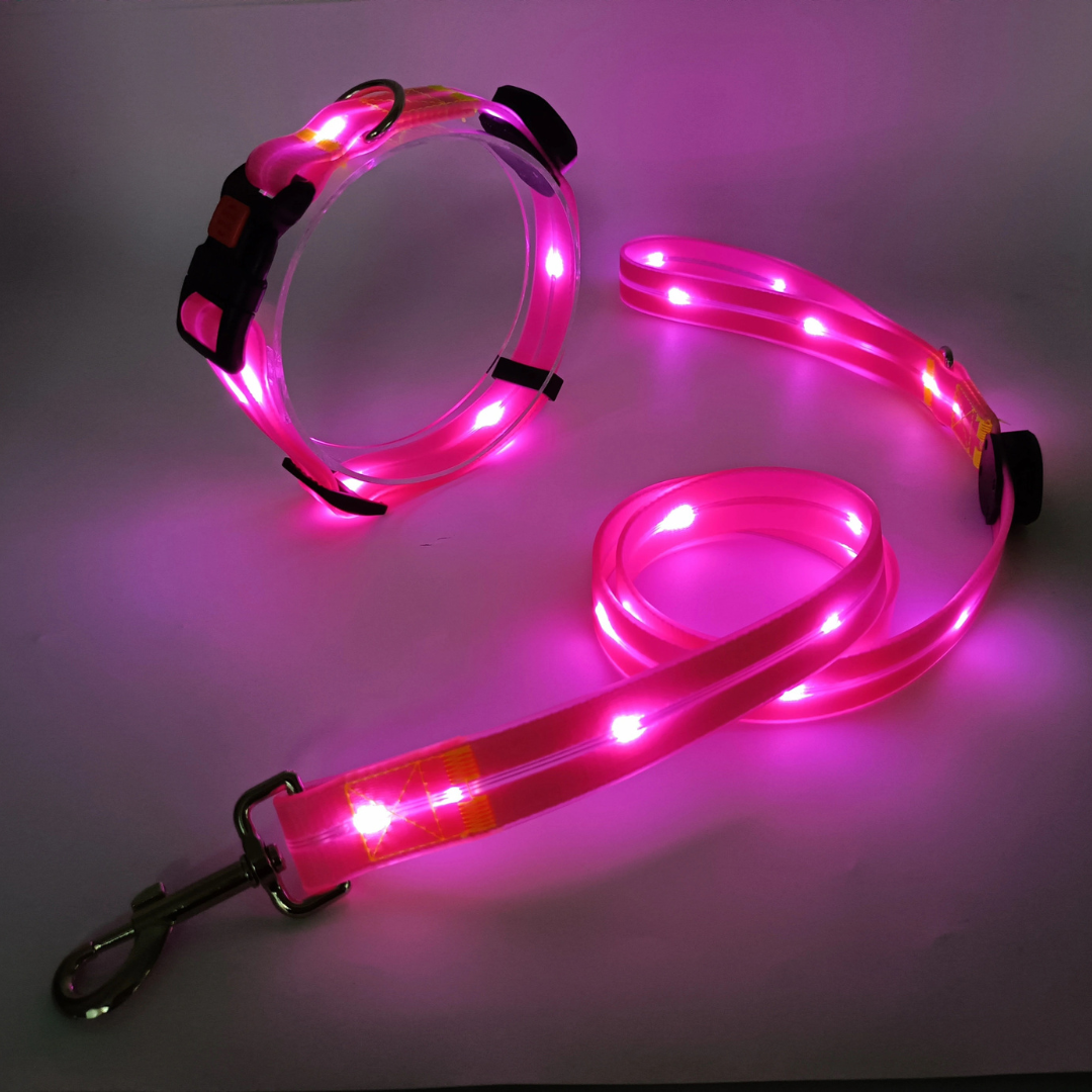 LED hondenriem en halsband combi set - By Lilo - in gebruik