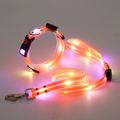 LED hondenriem en halsband combi set - By Lilo - zijaanzicht