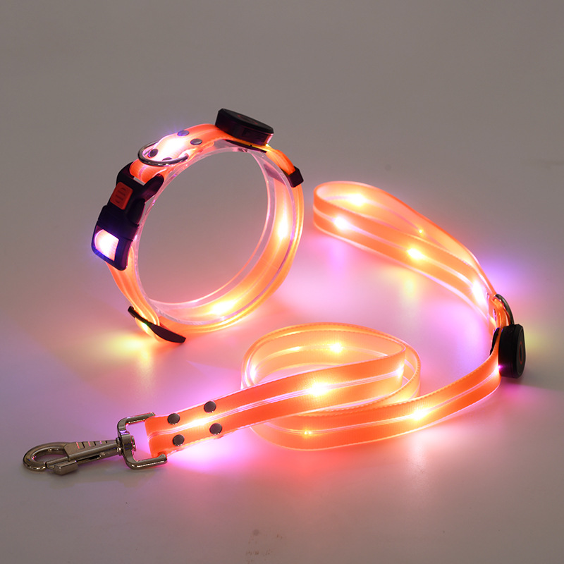 LED hondenriem en halsband combi set - By Lilo - zijaanzicht