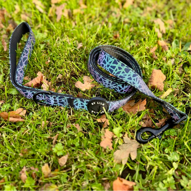 Reflecterende multicolour hondenriem - By Lilo