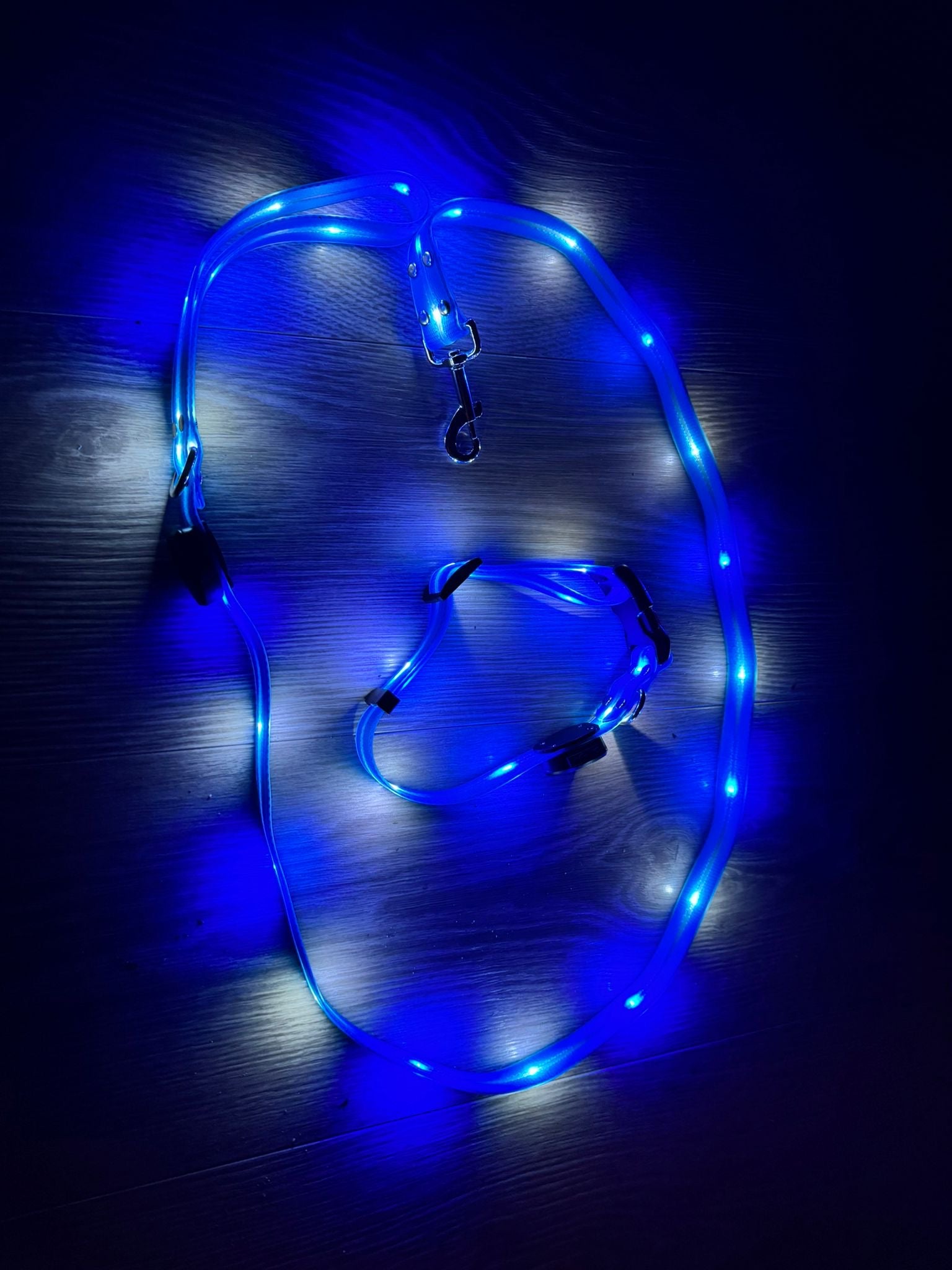 LED hondenriem en halsband combi set - By Lilo - bovenaanzicht