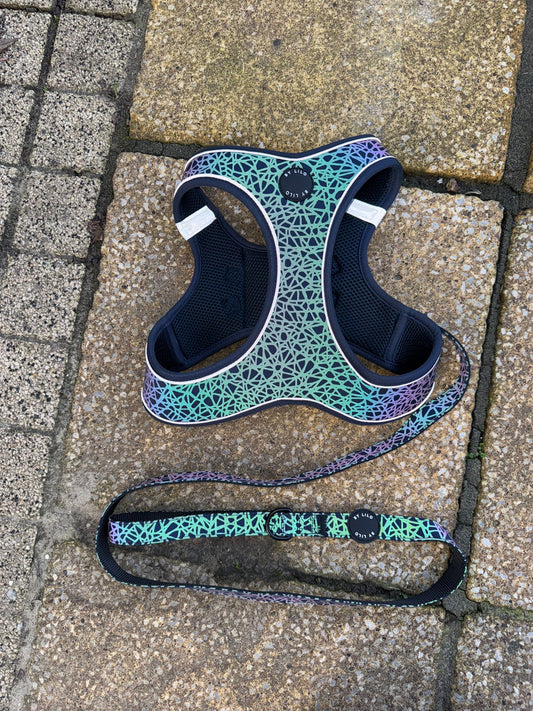 Reflecterend instapharnas met bijpassende riem - By Lilo - zijaanzicht