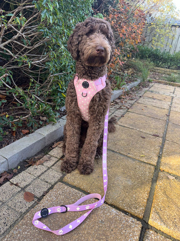 Roze reflecterende hondenharnas met riem set - By Lilo