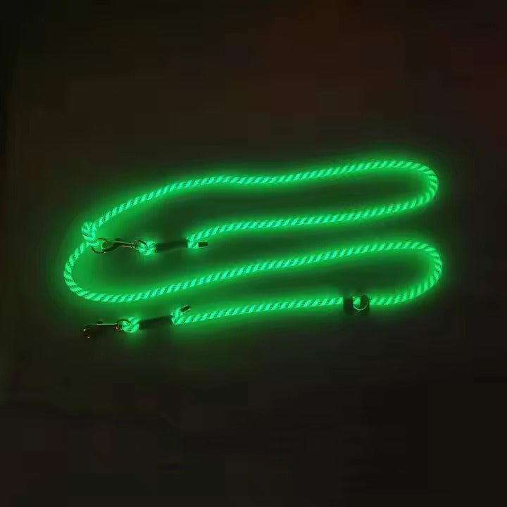 Glow - in - the - dark hondenriem - By Lilo