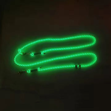Glow - in - the - dark hondenriem - By Lilo