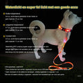 Led halsband en riem combinatie - By Lilo